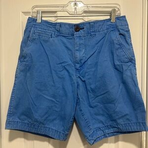 American Eagle Outfitters Blue Flat Front Shorts